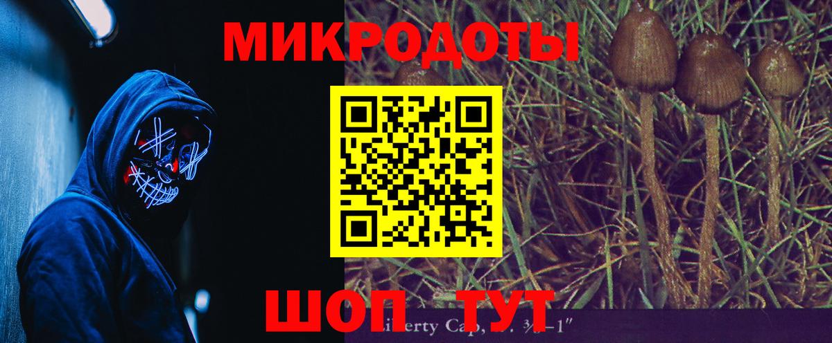 Галлюциногенные грибы Magic Shrooms Чехов