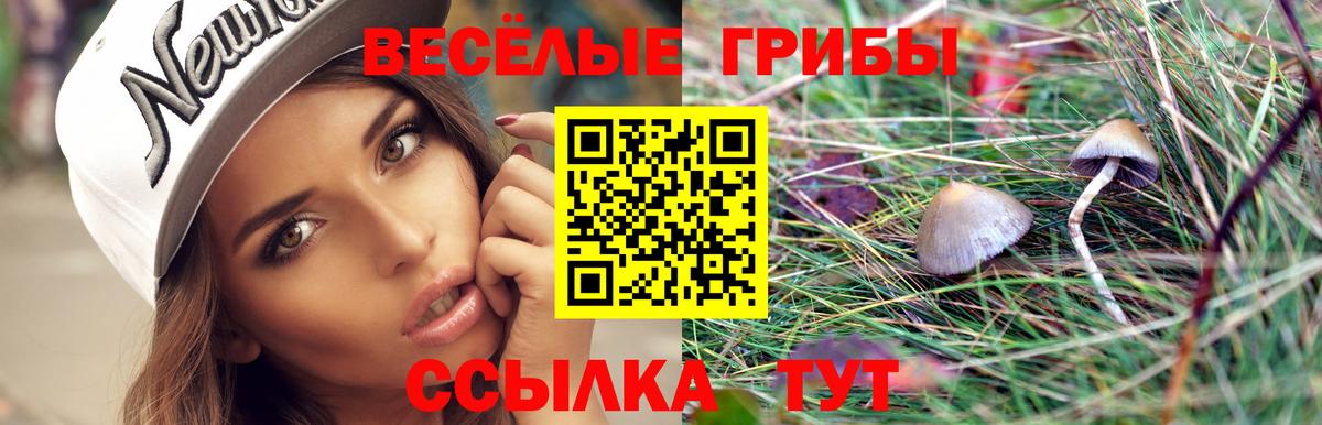 Чехов  Галлюциногенные грибы мицелий  Вход с VPN  Псилоцибиновые грибы мухоморы 